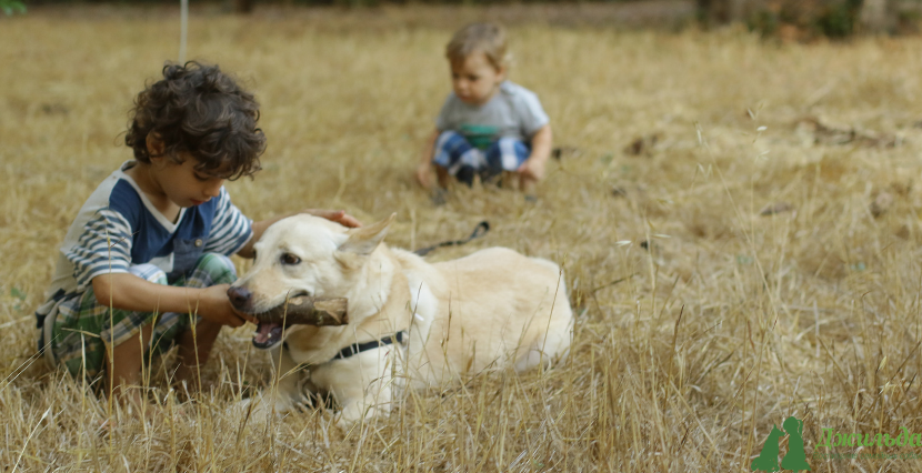 польза домашних животных для детей